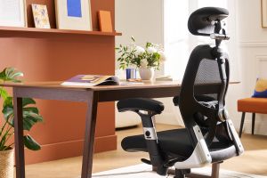 Fauteuil de bureau ergonomique ULTIMATE V2 plus
